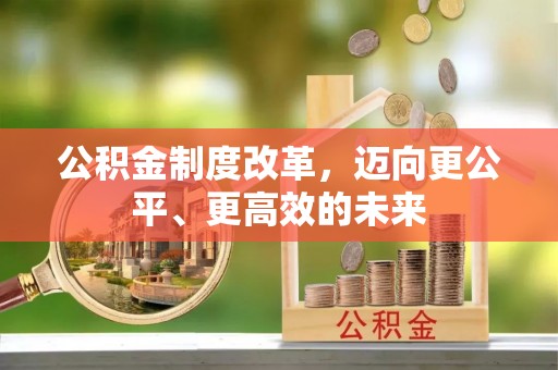 尼木公积金制度改革，迈向更公平、更高效的未来