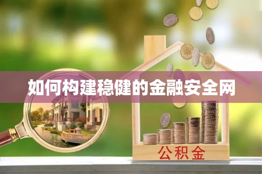 尼木如何构建稳健的金融安全网