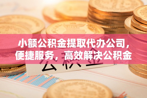 尼木小额公积金提取代办公司，便捷服务，高效解决公积金提取难题