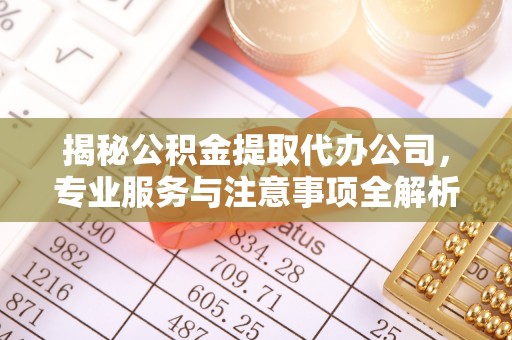 尼木揭秘公积金提取代办公司，专业服务与注意事项全解析
