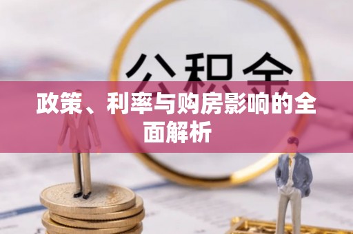 尼木政策、利率与购房影响的全面解析