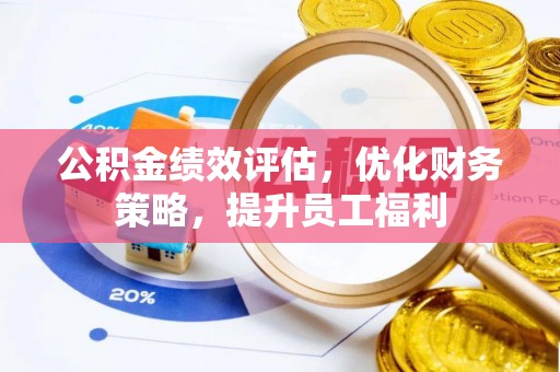 尼木公积金绩效评估，优化财务策略，提升员工福利