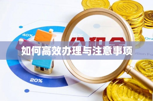 尼木如何高效办理与注意事项