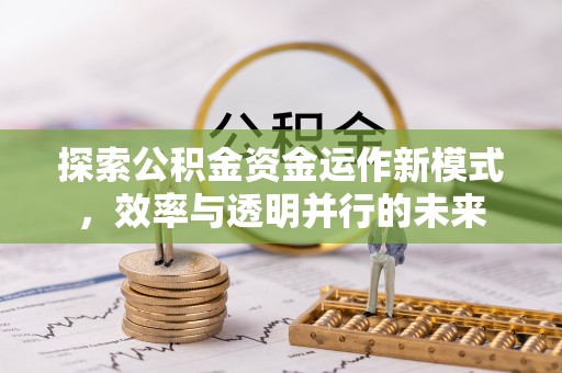 尼木探索公积金资金运作新模式，效率与透明并行的未来