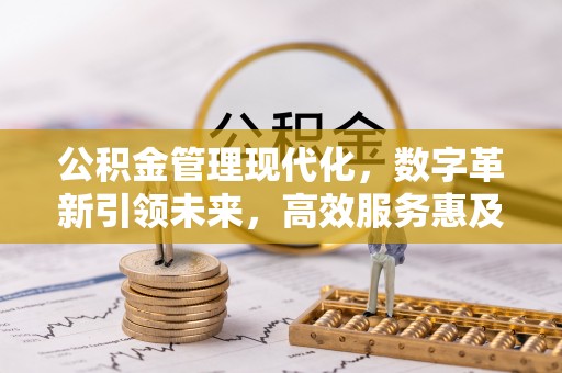尼木公积金管理现代化，数字革新引领未来，高效服务惠及民生