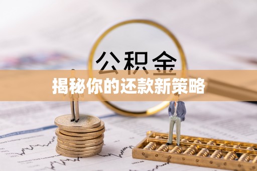 尼木揭秘你的还款新策略