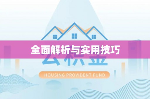 尼木全面解析与实用技巧