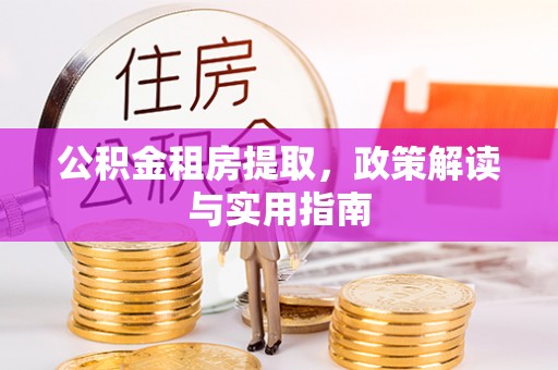 尼木公积金租房提取，政策解读与实用指南