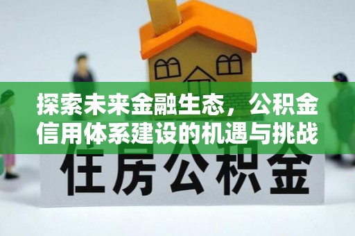 尼木探索未来金融生态，公积金信用体系建设的机遇与挑战