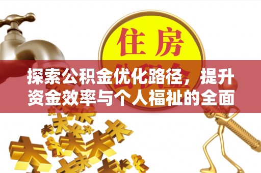 尼木探索公积金优化路径，提升资金效率与个人福祉的全面解析