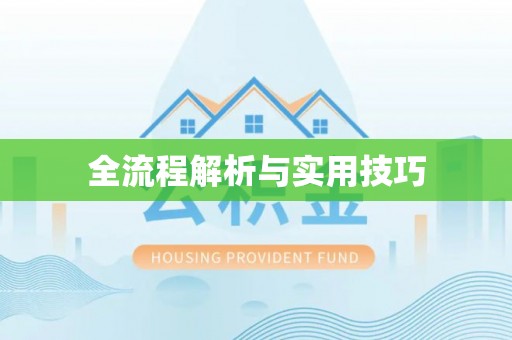 尼木全流程解析与实用技巧