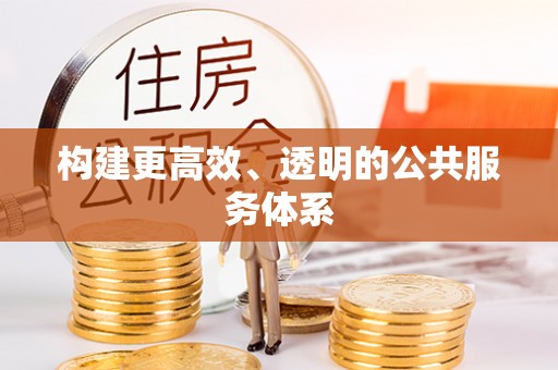 尼木构建更高效、透明的公共服务体系