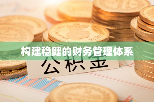 尼木构建稳健的财务管理体系