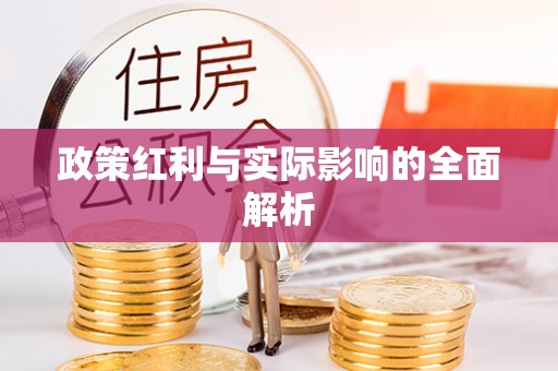 尼木政策红利与实际影响的全面解析
