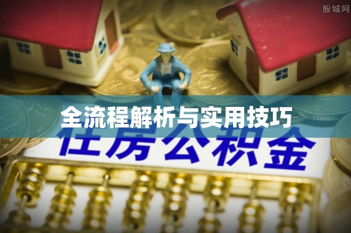 尼木全流程解析与实用技巧