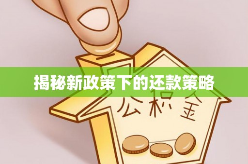 尼木揭秘新政策下的还款策略