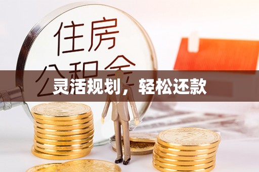 尼木灵活规划，轻松还款