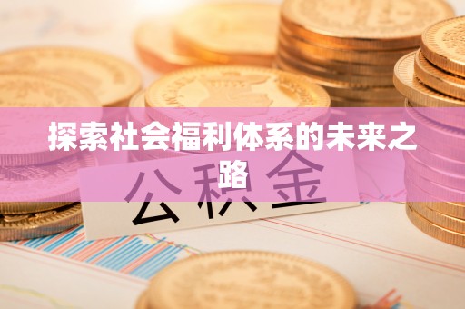 尼木探索社会福利体系的未来之路