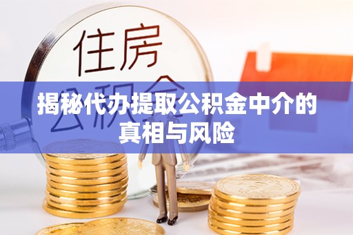 尼木揭秘代办提取公积金中介的真相与风险