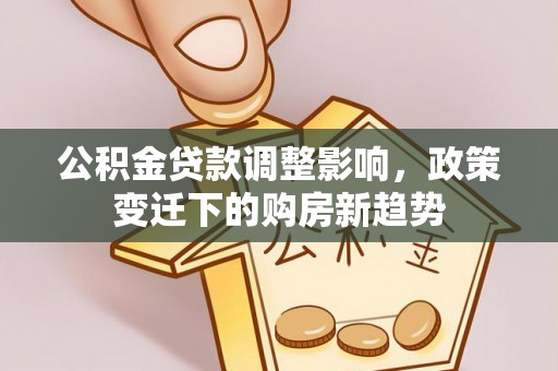 尼木公积金贷款调整影响，政策变迁下的购房新趋势