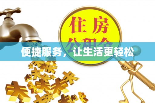 尼木便捷服务，让生活更轻松
