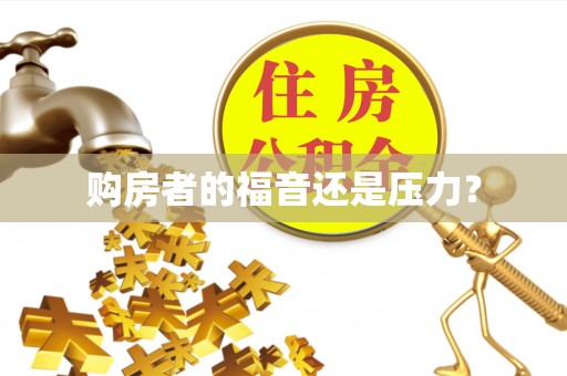 尼木购房者的福音还是压力？