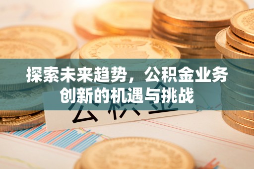 尼木探索未来趋势，公积金业务创新的机遇与挑战