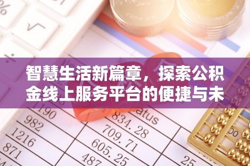 尼木智慧生活新篇章，探索公积金线上服务平台的便捷与未来
