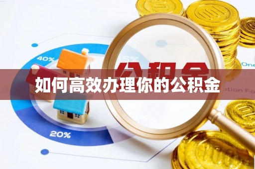 尼木如何高效办理你的公积金