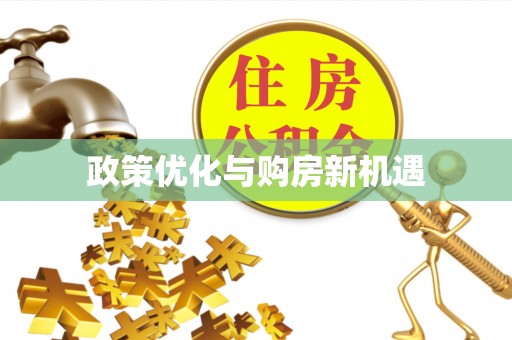 尼木政策优化与购房新机遇