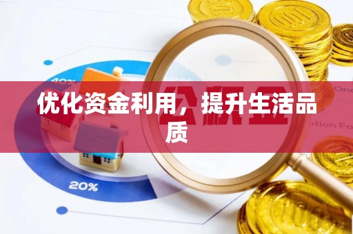 尼木优化资金利用，提升生活品质