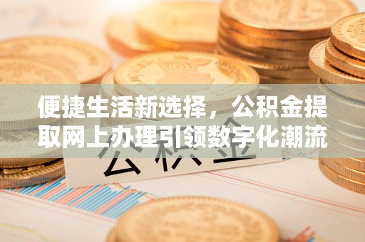 尼木便捷生活新选择，公积金提取网上办理引领数字化潮流