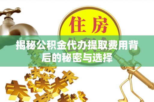 尼木揭秘公积金代办提取费用背后的秘密与选择