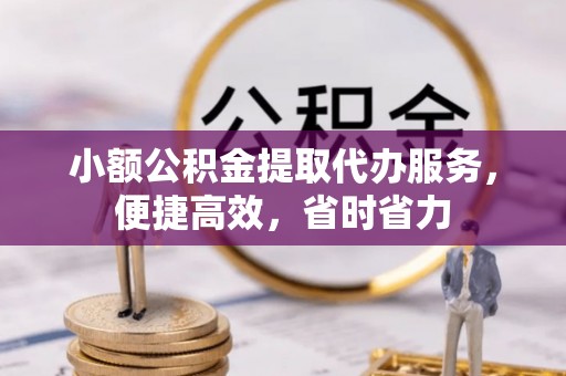 尼木小额公积金提取代办服务，便捷高效，省时省力