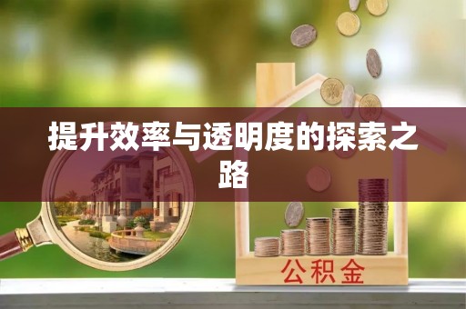 尼木提升效率与透明度的探索之路
