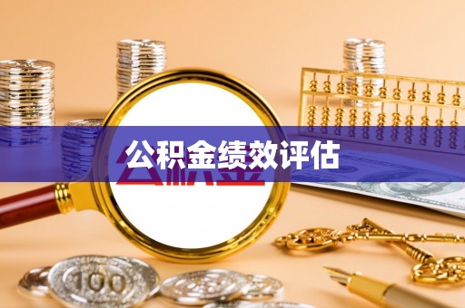 尼木公积金绩效评估