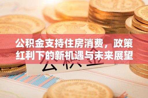 尼木公积金支持住房消费，政策红利下的新机遇与未来展望