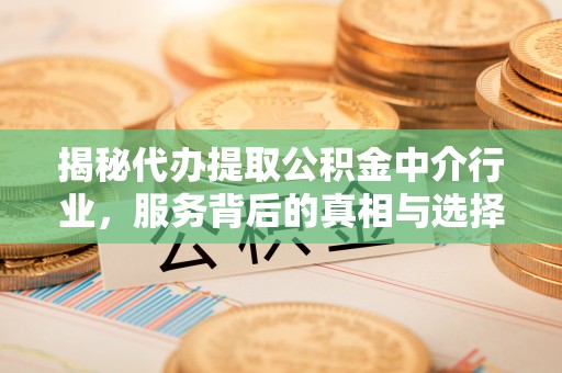 尼木揭秘代办提取公积金中介行业，服务背后的真相与选择指南