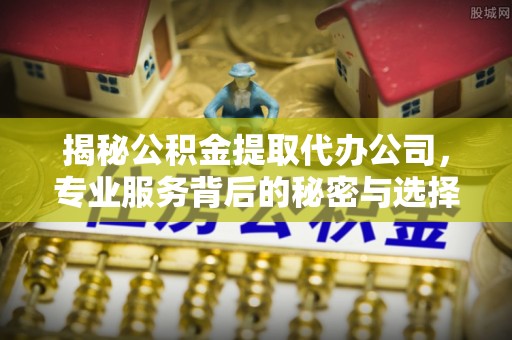 尼木揭秘公积金提取代办公司，专业服务背后的秘密与选择指南