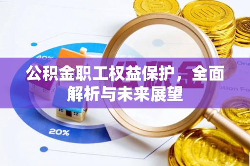 尼木公积金职工权益保护，全面解析与未来展望