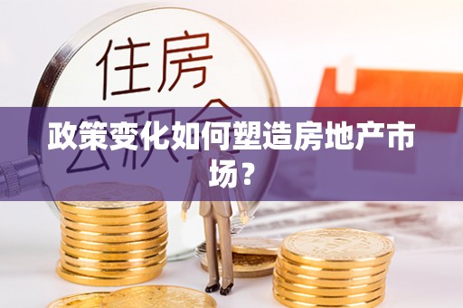 尼木政策变化如何塑造房地产市场？