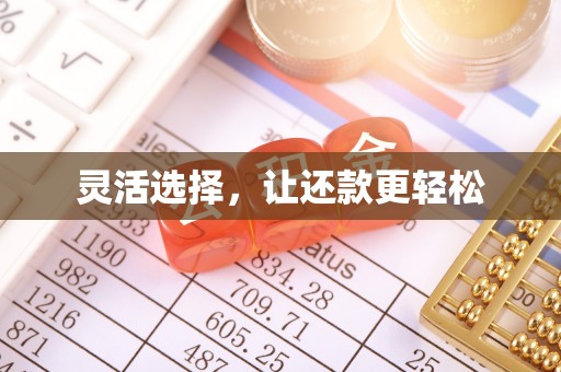 尼木灵活选择，让还款更轻松