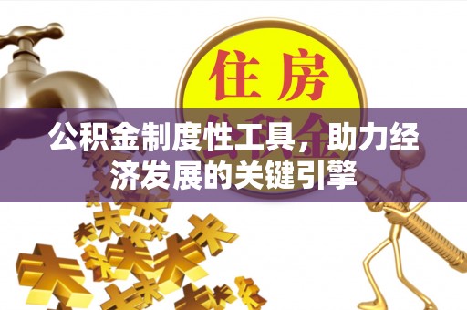 尼木公积金制度性工具，助力经济发展的关键引擎