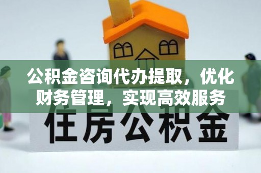 尼木公积金咨询代办提取，优化财务管理，实现高效服务