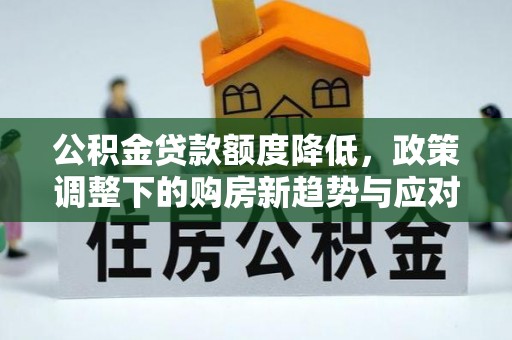 尼木公积金贷款额度降低，政策调整下的购房新趋势与应对策略