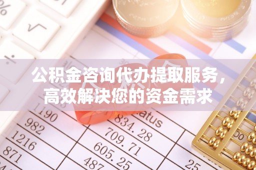 尼木公积金咨询代办提取服务，高效解决您的资金需求
