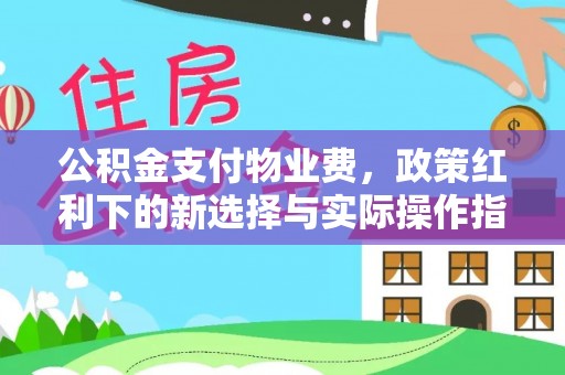 尼木公积金支付物业费，政策红利下的新选择与实际操作指南