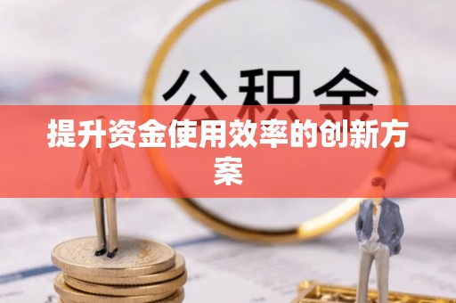 尼木提升资金使用效率的创新方案