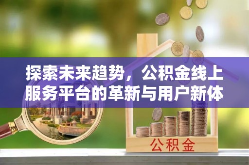 尼木探索未来趋势，公积金线上服务平台的革新与用户新体验