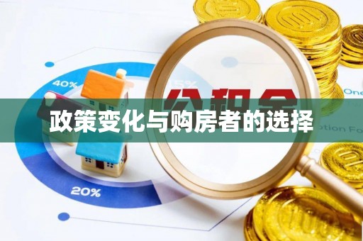 尼木政策变化与购房者的选择